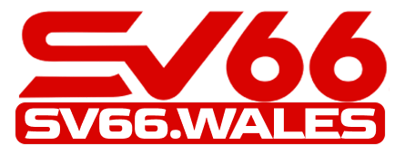 SV66